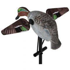 Lucky Duck Green Wing Teal HD with Remote 21-11616-6