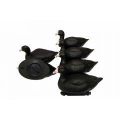 Mojo Outdoors Coot Confidence Decoy (6 pack) HW2514